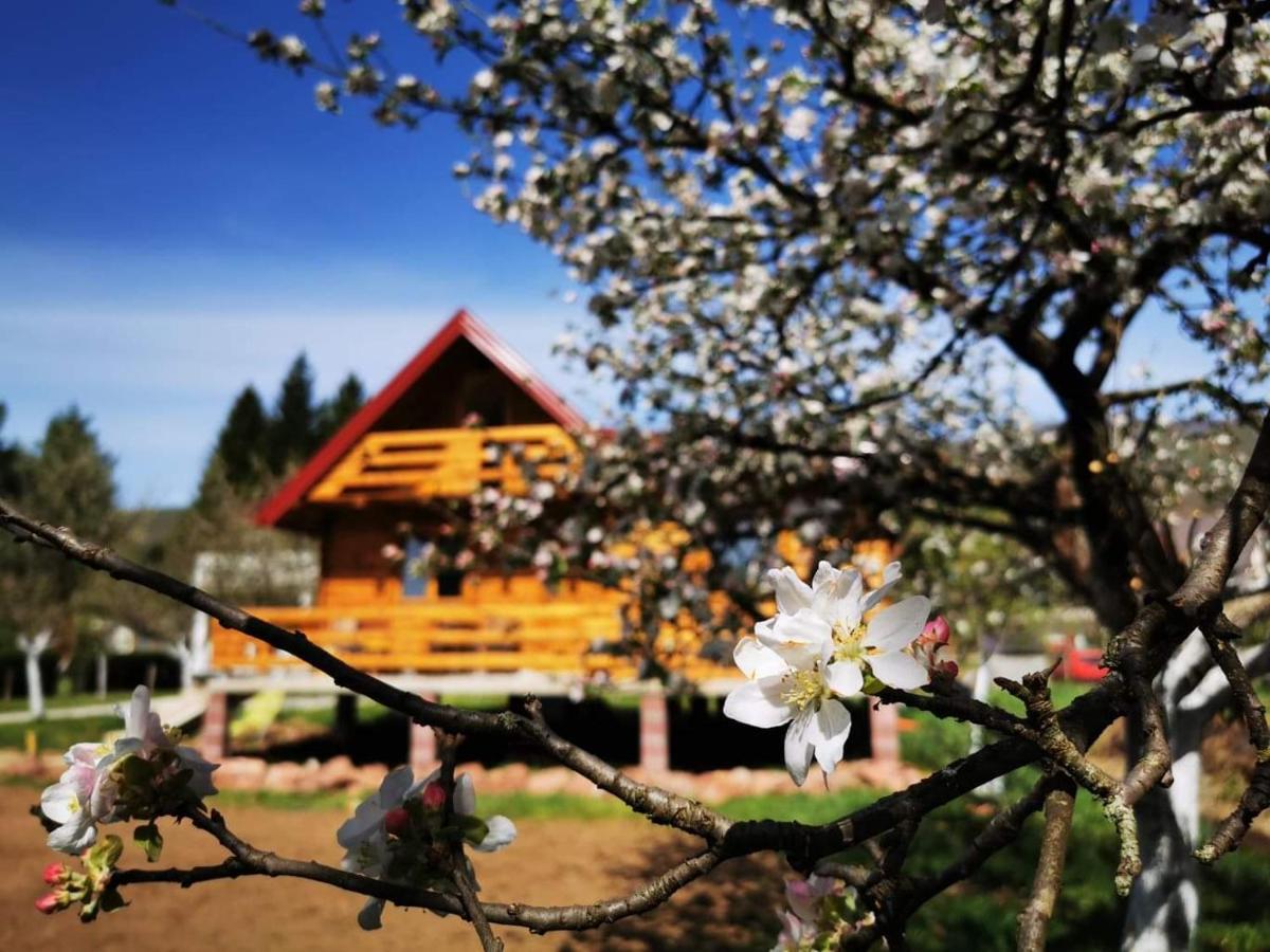 Wooden House "Una" Kulen Vakuf Zewnętrze zdjęcie